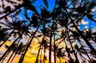 Sunset in Bali, Indonesia, a tropical paradise. Art Print